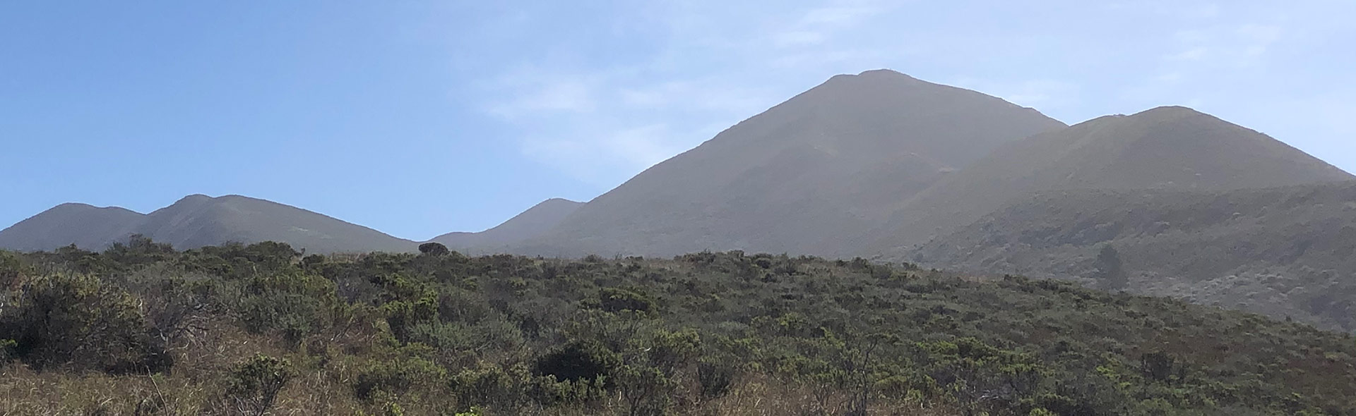 View of Mt. Tam